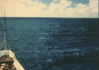 Балл по шкале Бофорта 5 - Свежий бриз