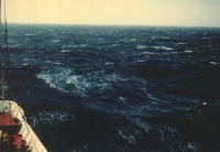 Балл по шкале Бофорта 7 - Крепкий ветер