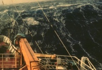 Балл по шкале Бофорта 9 - Шторм