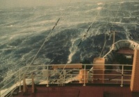 Балл по шкале Бофорта 10 - Сильный шторм